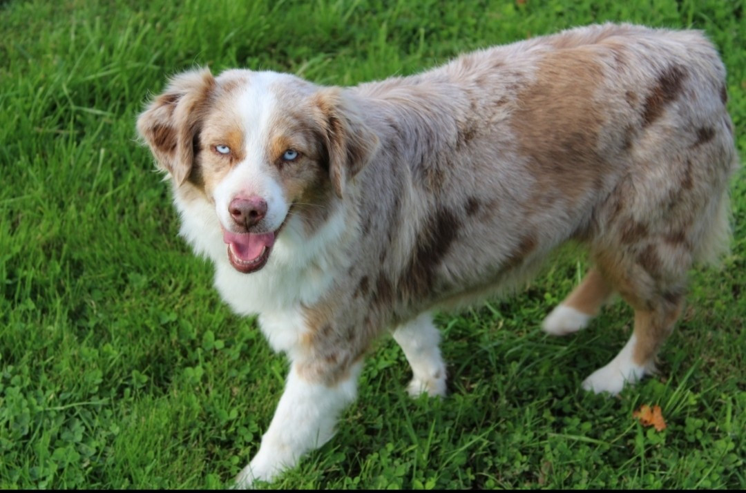 Passion Du Domaine Des Belles Aubois