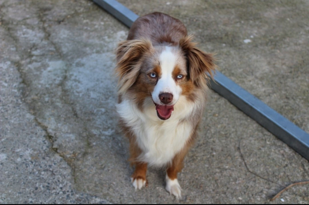 Ria Des Terres De L'Avesnois